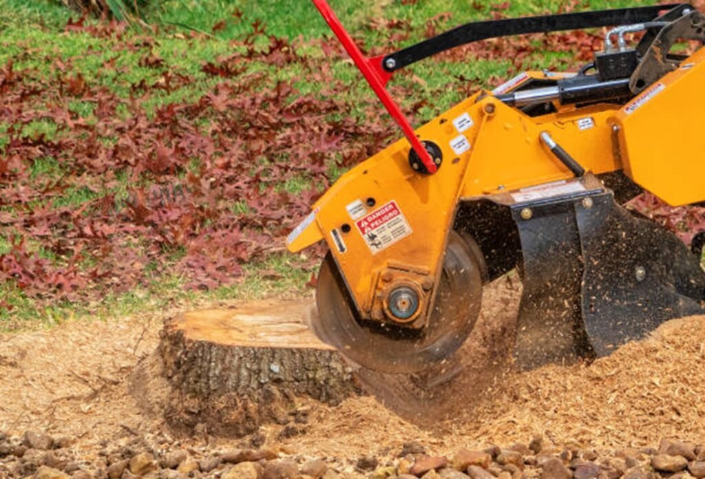 Stump grinding cleanup leaving yard ready for landscaping
