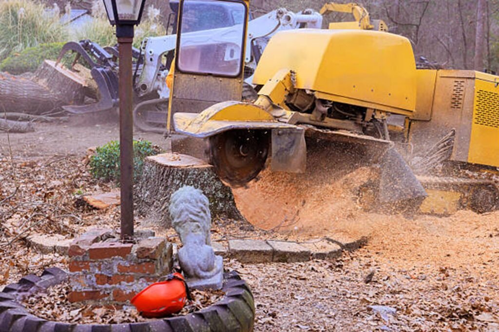 Stump grinding machine removing a tree stump in a residential yard in El Monte, California