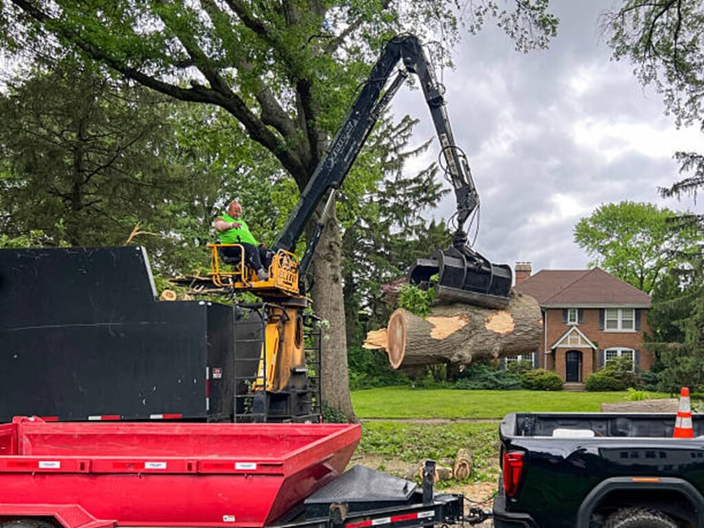 Tree removal crew using controlled sectional cutting techniques near a residential home in El Monte, California