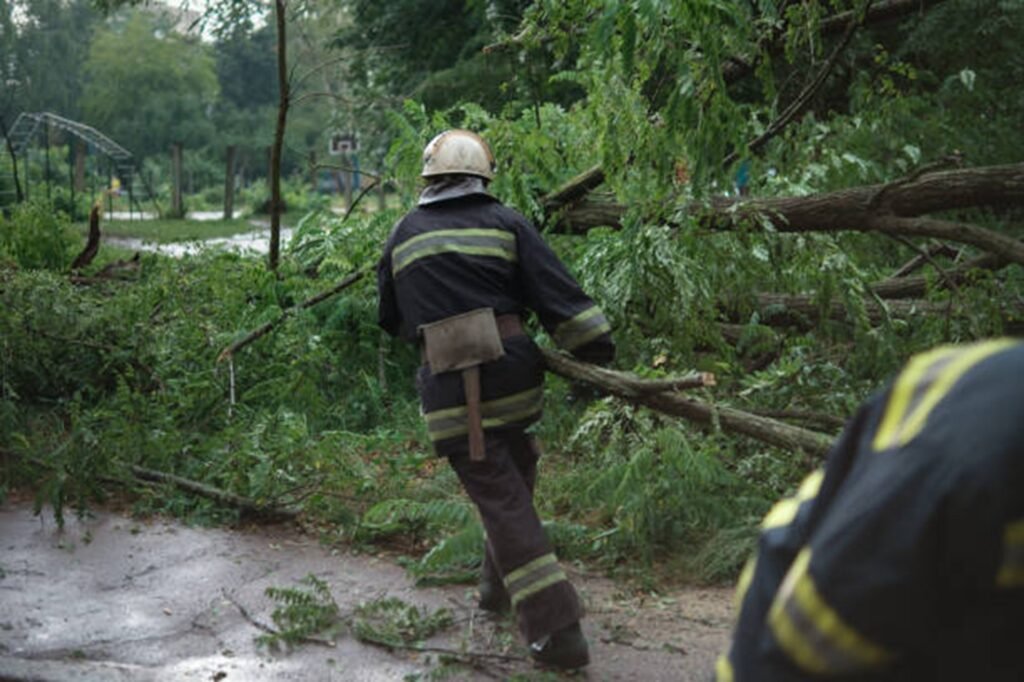 Emergency tree service crew removing storm-damaged tree near a home in El Monte, California