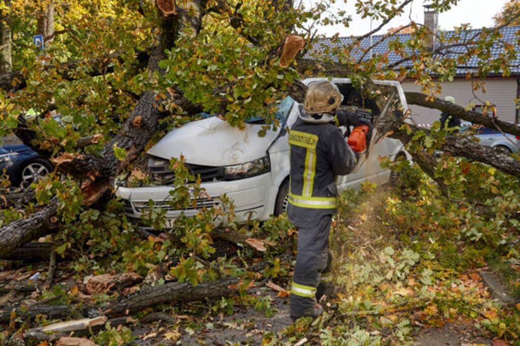 Storm damage cleanup with fallen tree and debris removal at a El Monte, CA property