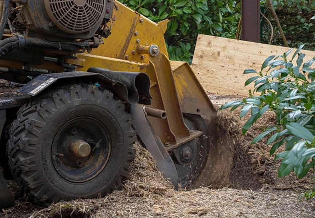 Stump grinding equipment removing a large tree stump from a residential yard in El Monte, California