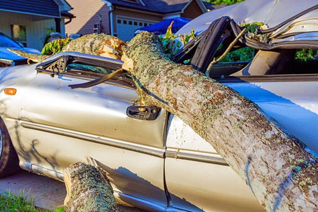 Storm damage cleanup with fallen tree and debris removal at a home in El Monte, California