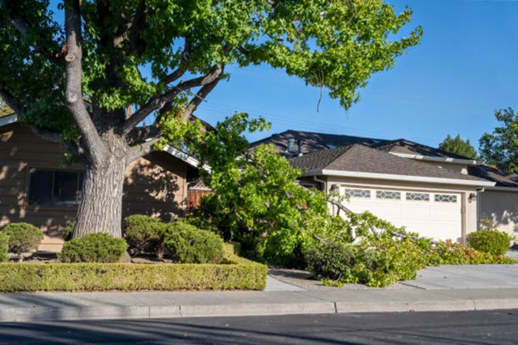 Tree service crew removing storm-damaged tree debris from a residential yard in El Monte, California